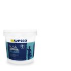 Masa corrida para empaste de 1 galón WESCO