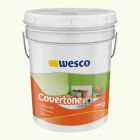 Pintura Covertone Color Blanco Caneca