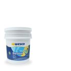 PINTURA DURATEX BLANCO CANECA WESCO