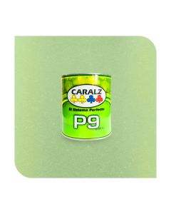 PLSTER PERLA VERDE MUSGO P9 0.95LT CARALZ