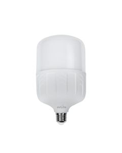 FOCO LED ALTA POTENCIA 30W 2600LM 6500K 120-240V EVLITE