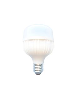 FOCO LED OVO E27 20W 6500K 4500LM LEDEX