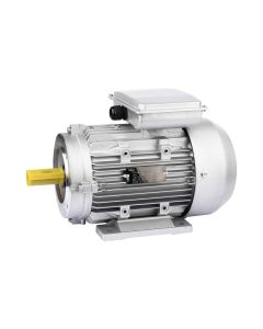 MOTOR MONOFASICO DE 4HP PARA HIDROLAVADORA PHI-4M 220V PORTEN