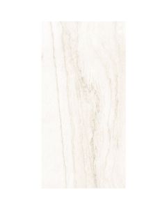 CAJA PORCELANATO PEGASUS 60X120 RECTF 2.16M2 ECUACERAMICA