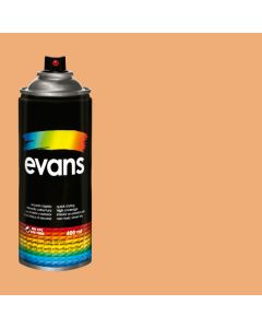 PINTURA EN SPRAY EVANS PIEL