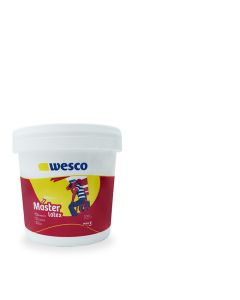 Pintura Interiores Master Latex Wesco Galón