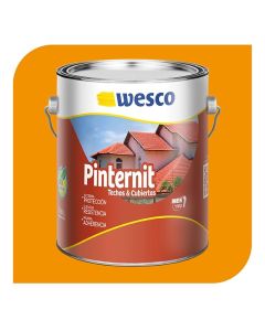 Pintura pinternit para exterior. Galon. Naranja